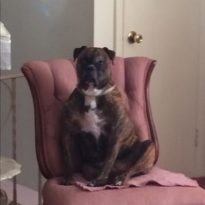 Meet your Posher, Lisa